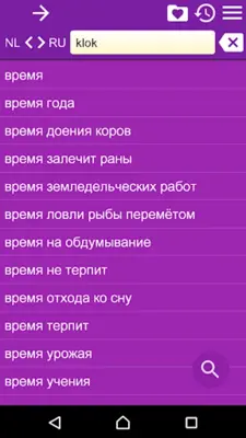 RU-NL Dictionary android App screenshot 6